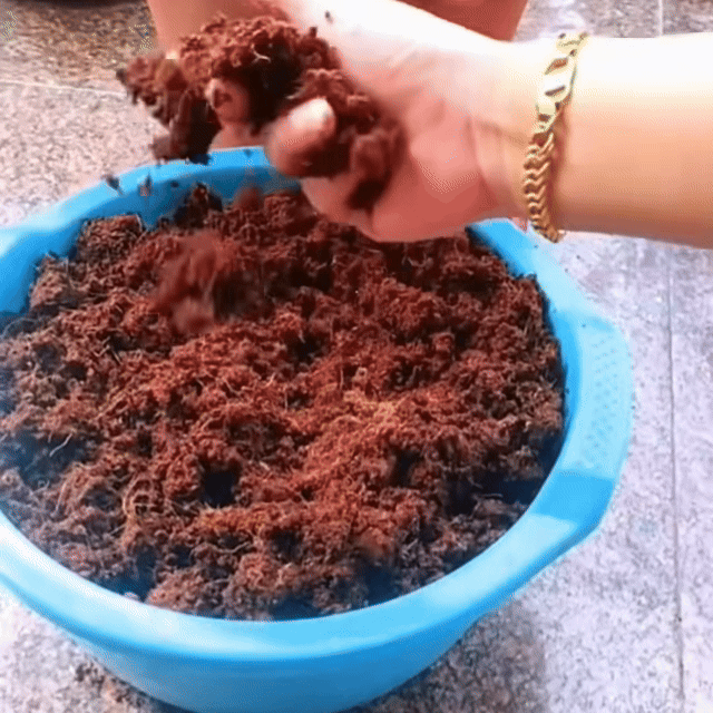 đChristmas Sale 50% OFFâď¸Organic Coconut Coir Brick Discover a superior solution to weak soil, slow growth, and poor germination.