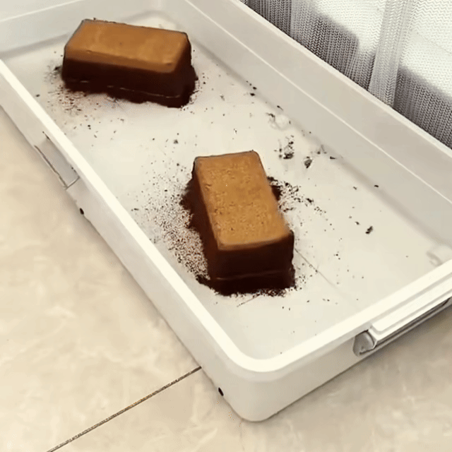 đChristmas Sale 50% OFFâď¸Organic Coconut Coir Brick After testing our Organic Coconut Coir Bricks across multiple plant types, we discovered: